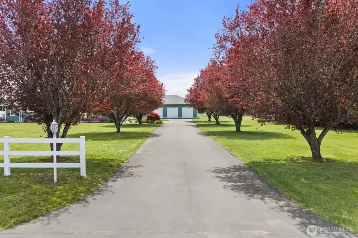 Tree-lined driveway with mature maples offers a stunning entrance
