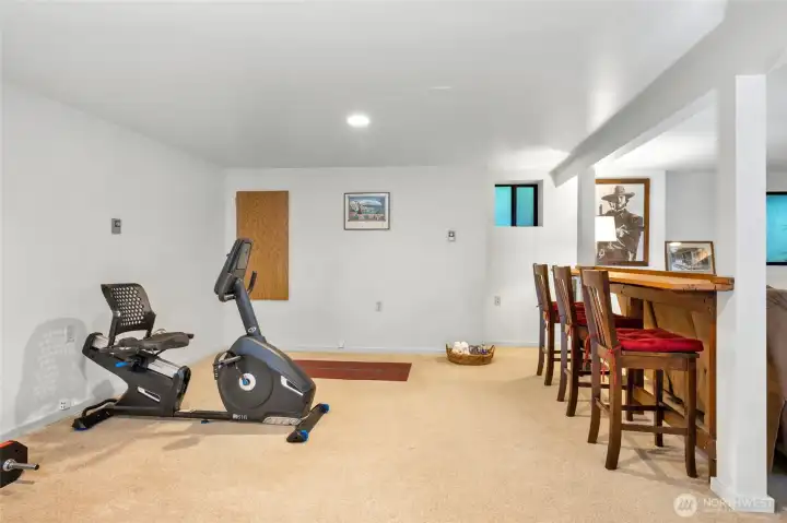 This space is great for a workout area, watching movies, hanging out, whatever your heart desires