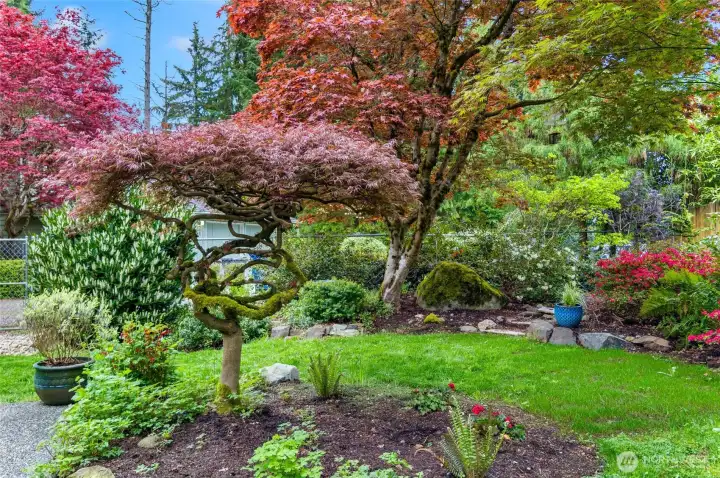 The landscaping is lush and beautiful