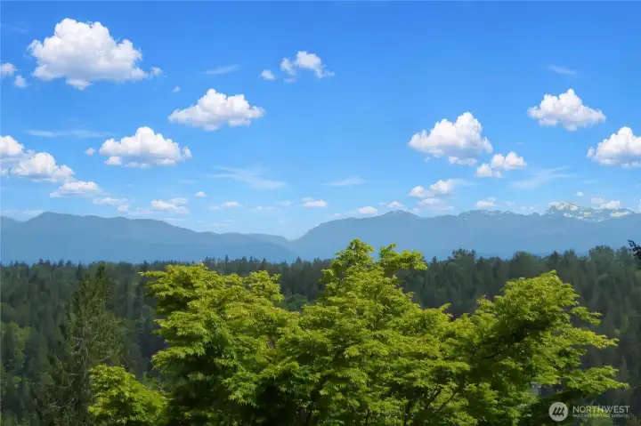 Cascade Mountain views from backyard and east facing rooms in the home