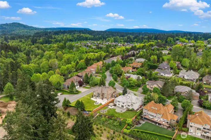 Aerial photo shows Aldarra Estates neighborhood and large homes on estate-sized private lots.