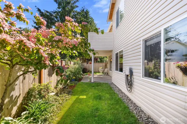 Patio/ Lawn