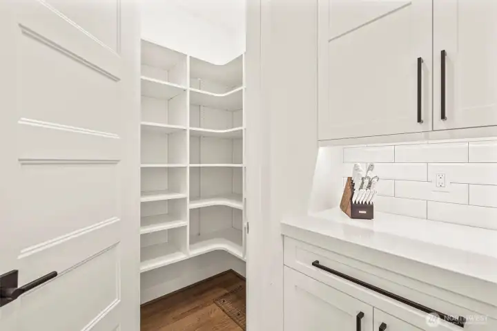 Pantry with custom built in shelfs