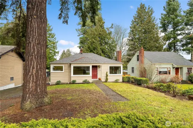 Mature landscaping with planting spaces around the front yard