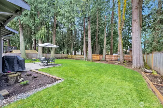 Spacious fully fenced back yard.