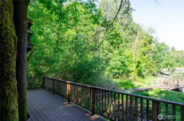 Deck runs the length of the house, grab your favorite beverage and relax, enjoy the view and the wildlife.