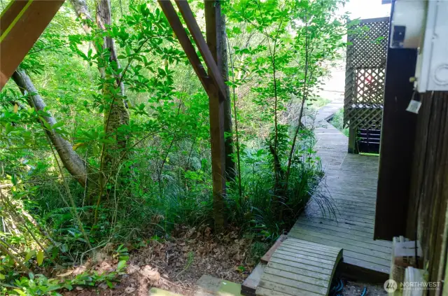 Side path opens up to the waterfront