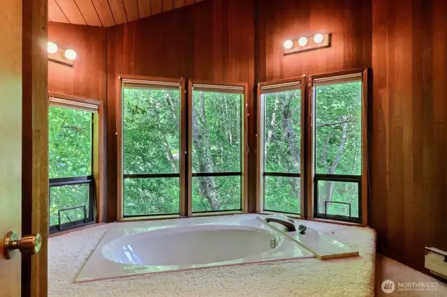 The soaking tub, kinda of a treehouse feel here.