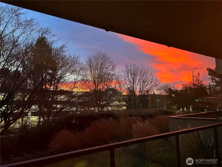 Sunsets wow!