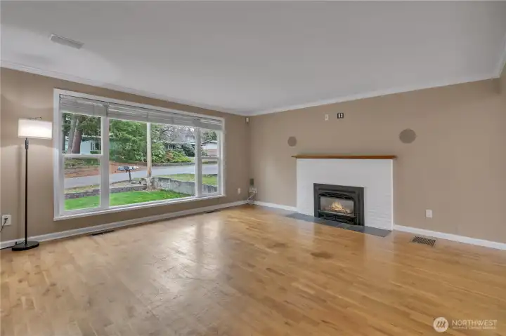 Gas fireplace and built in speakers for your entertainment