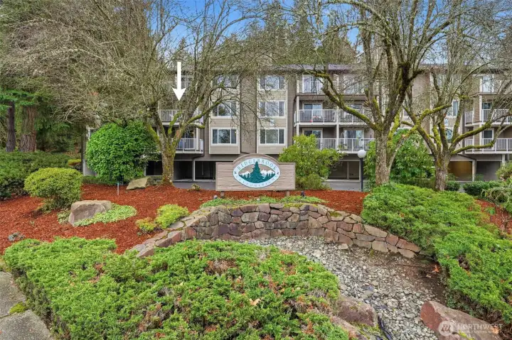 Exterior - arrow showing D204