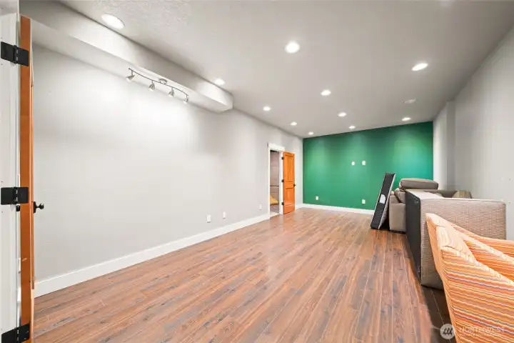 Lower level big flex space.