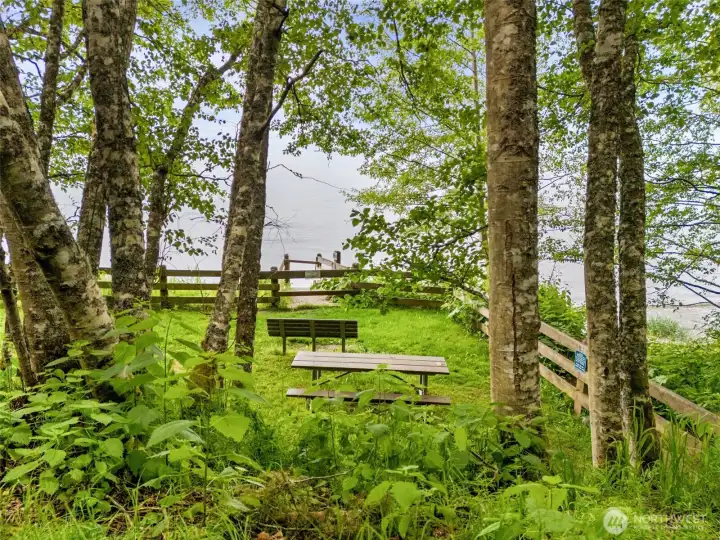 Panorama lookout and picnic area