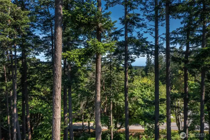 Northern view