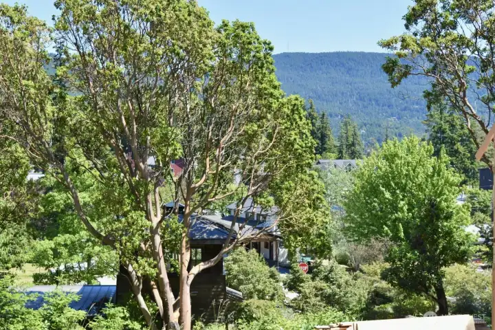 Views of Buck Mountain and Mt. Constitution.