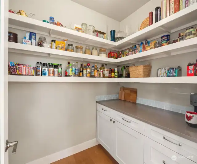 The pantry has a built in cabinet and wine refrigerator.