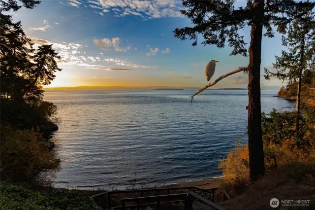 Beautiful sunsets and wildlife.