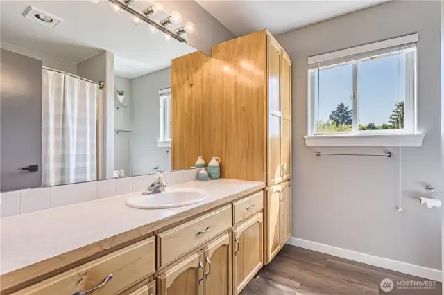 Lower level full bath