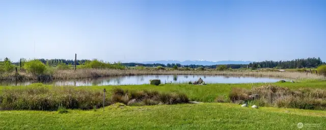 Pop out the sliding door for a closer look at the pond.