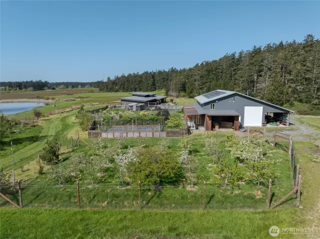 A closer look at the orchard with blueberry garden beyond.