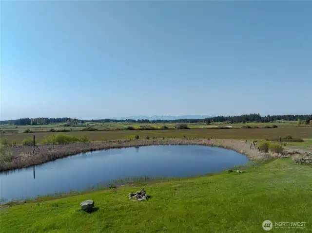Looking south across the pond and pasture to the Olympic Mountains