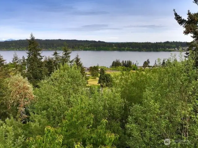View from top of the trees