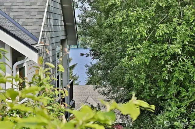 View looking from between Neighbors house and property