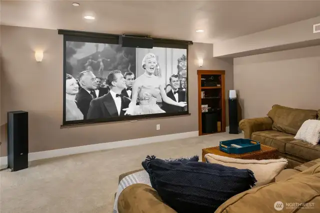 Downstairs entertainment/movie room