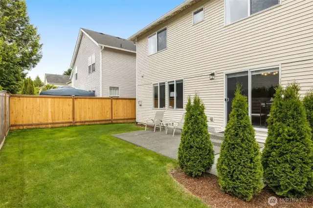 Lush large backyard for you summer get-togethers!