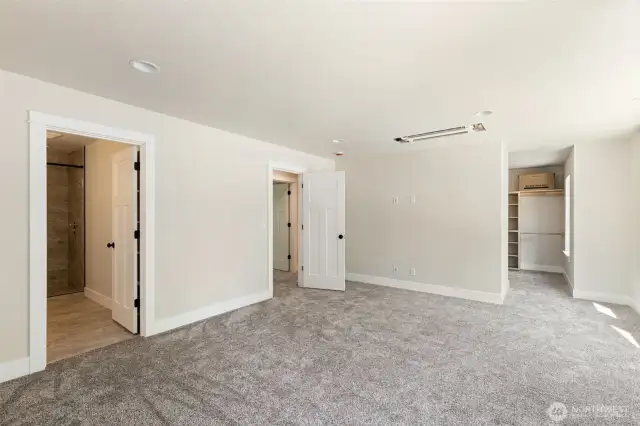 Primary suite with views to the bathroom and walk-in closet.