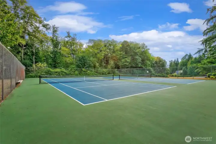Shorewood community sports courts Shorewood community sports courts
