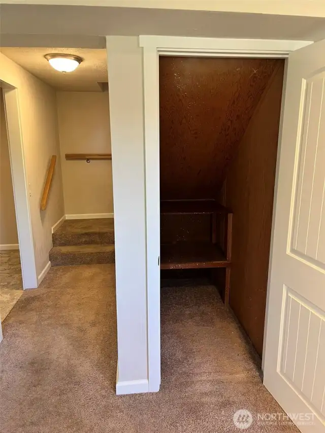 Storage under stairs.