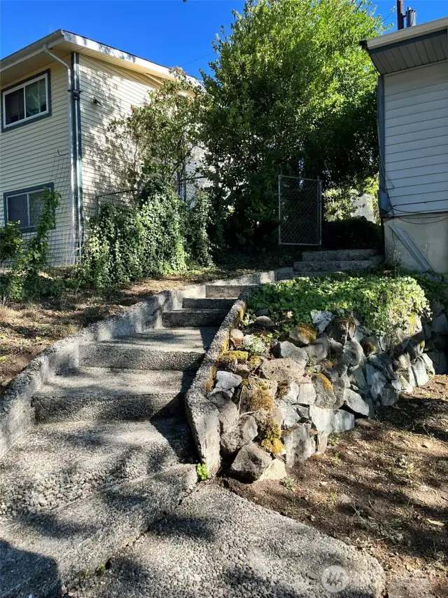 Concrete stairs to front yard.
