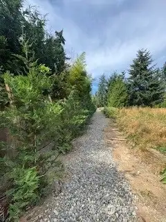 Newly planted (May, 2025) Leyland Cypress were planted to create a privacy hedge.  Leyland Cypress are irrigated automatically in order that they grow rapidly as they are engineered.