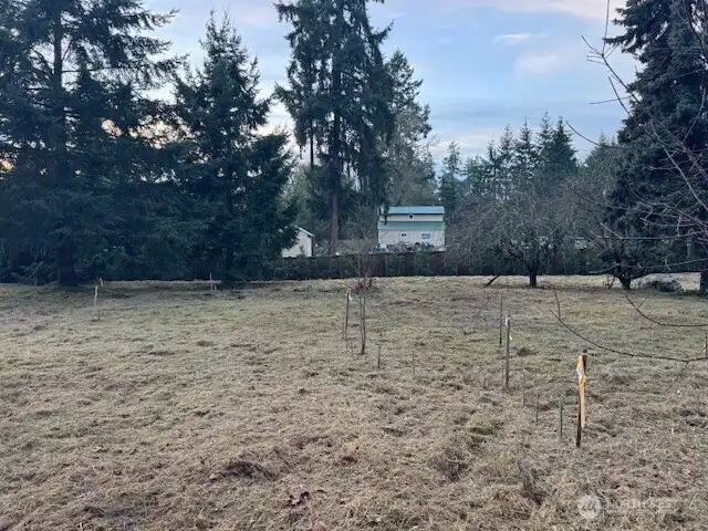 2025-12-13 Westerly facing picture taken from 52nd Ave. S. or East side of building site.