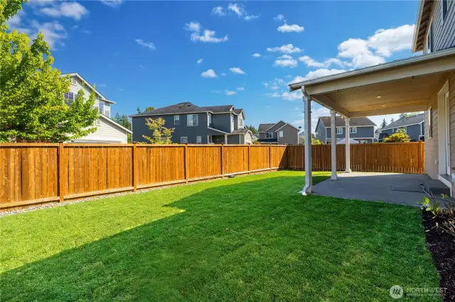 Fully Fenced Back Yard with Beautiful Green Lawn!