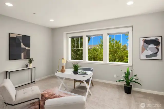 Lower level bedroom/office