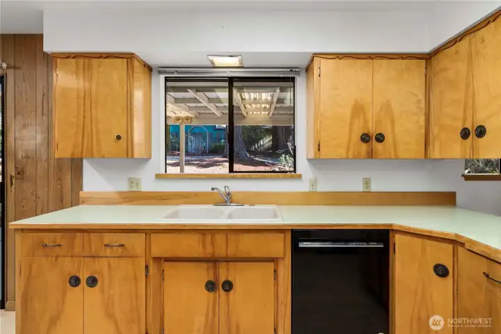kitchen sink and dishwasher with window view to backyard