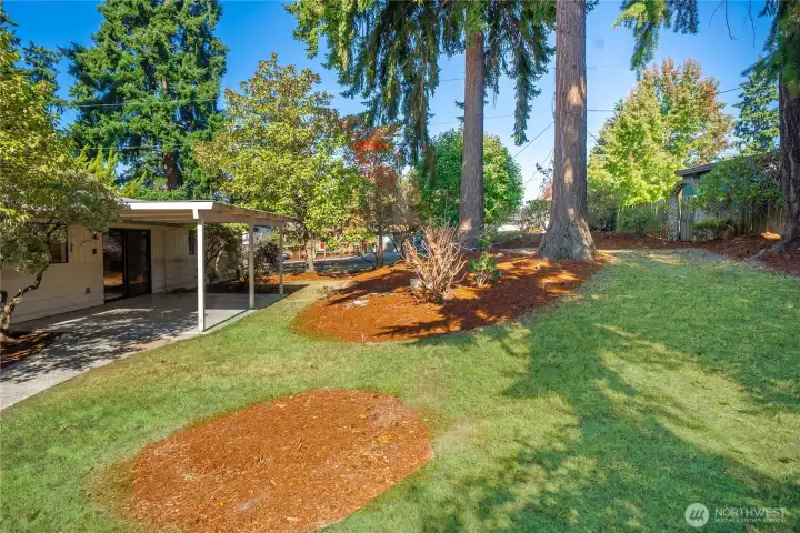 Mature landscaping in the backyard