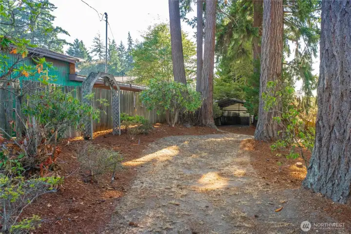 Backyard has access from the street for extra parking or possible future develpment
