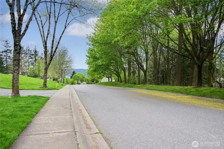 Wide streets and sidewalks throughout Providence Point