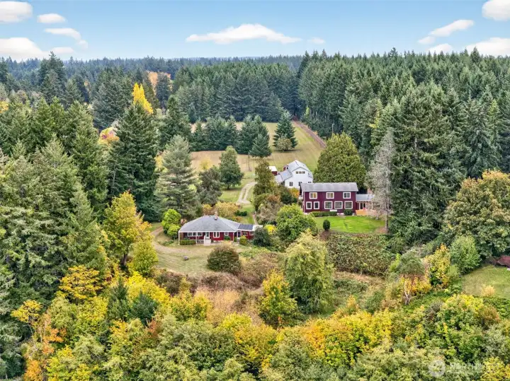 Budd Inlet Water Frontage Family Compound!  Two separate homes each with there own septic systems, shared well, detached garage/shop/office, green houses and fenced pasture land.