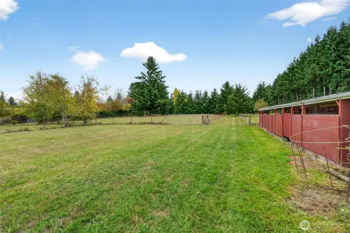 Fenced pasture land.
