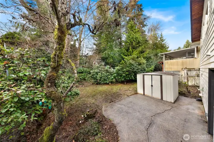 Generous back yard