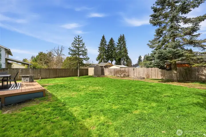 Large yard