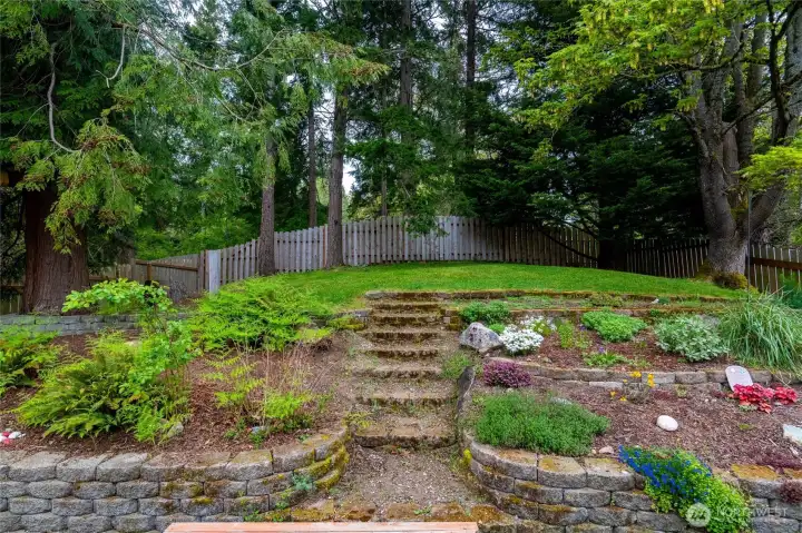 Beautiful terraced back yard, trees for privacy and gate to greenbelt area beyond.