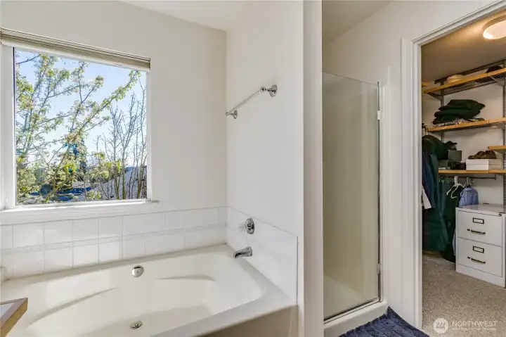 Soaking tub, separate shower, walk-in closet