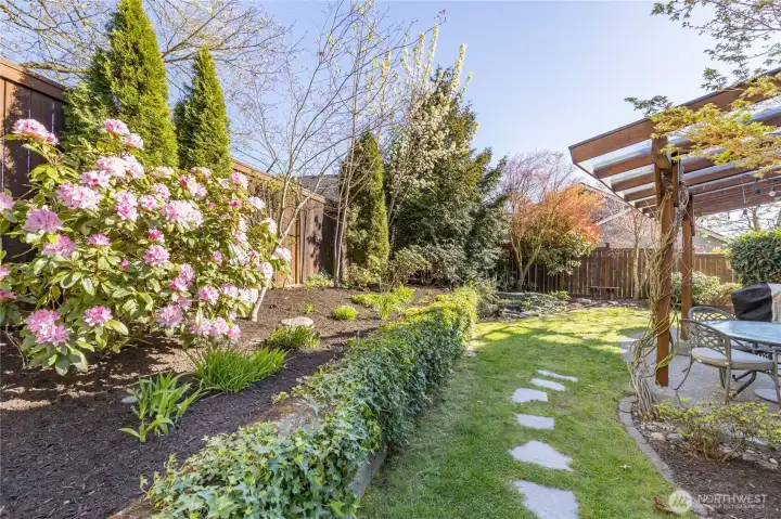 Beautifully-landscaped back yard