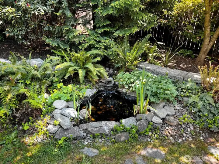 Your own serene back yard pond