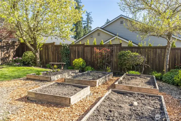 Raised garden beds take advantage of the lot's sunny southwest corner